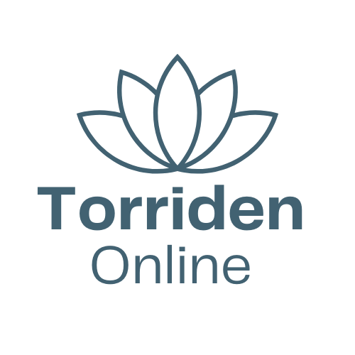 Torriden Online